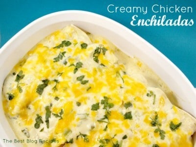 Creamy Chicken Enchiladas 