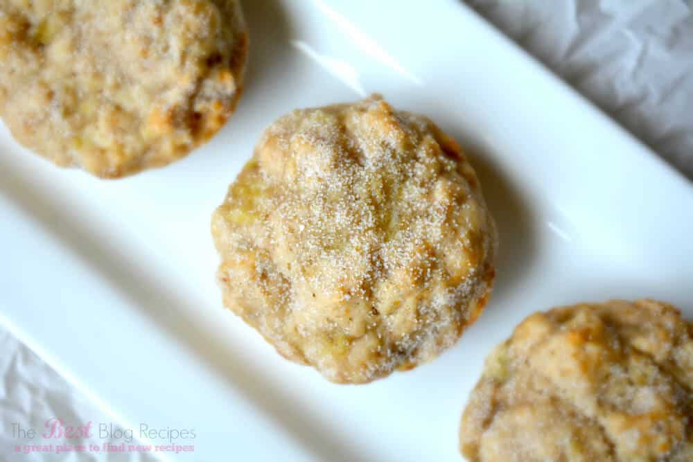 Vegan Banana Muffins made with coconut oil makes a yummy and healthier treat! Your kids will love them ;) thebestblogrecipes.com #banana #muffins #vegan 