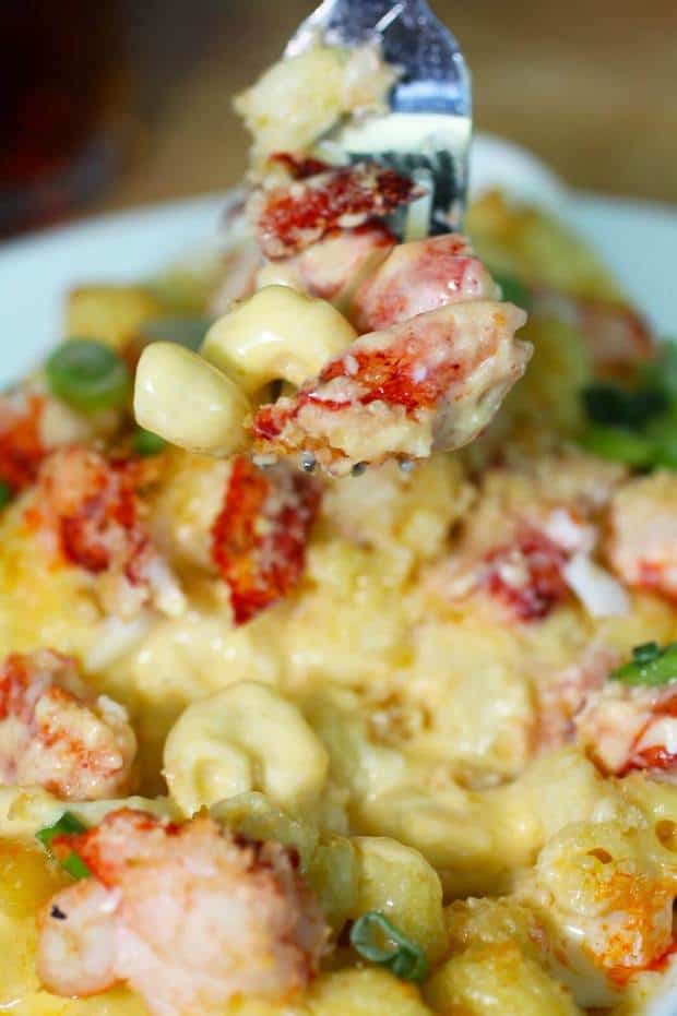 Lobster Mac and Cheese | The Best Blog Recipes