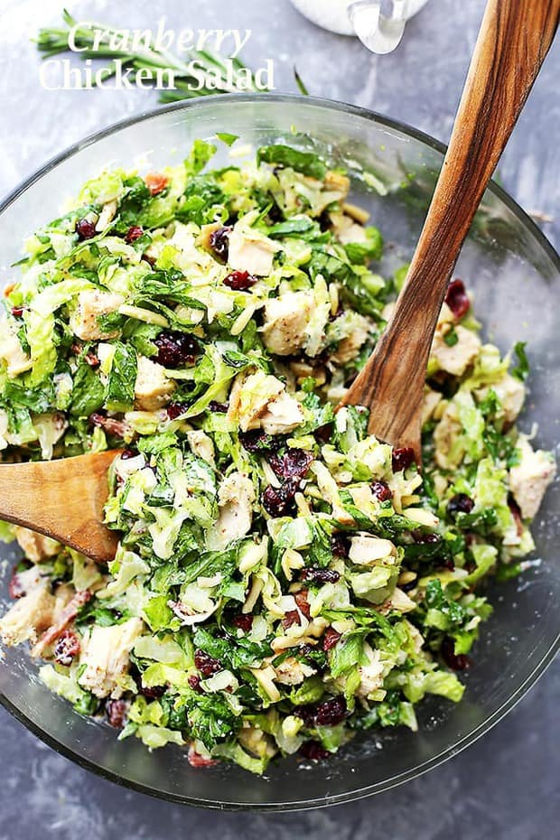 Cranberry Chicken Salad with Light Dijon Parmesan Dressing – Festive and delicious chicken salad packed with sweet cranberries, crunchy almonds, crispy bacon, and a creamy salad dressing that is lightened up, yet very flavorful