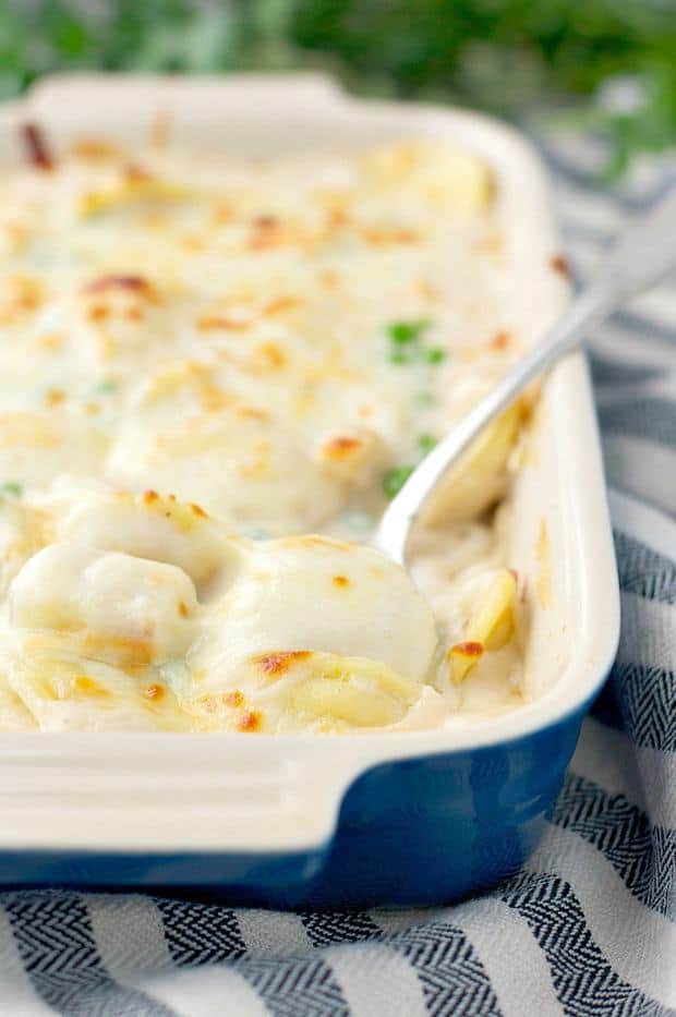 You don’t even have to boil the pasta for this easy Dump-and-Bake Chicken & Ravioli in Alfredo Sauce! With only 5 simple ingredients and about 5 minutes of prep, family dinners don’t get much better!