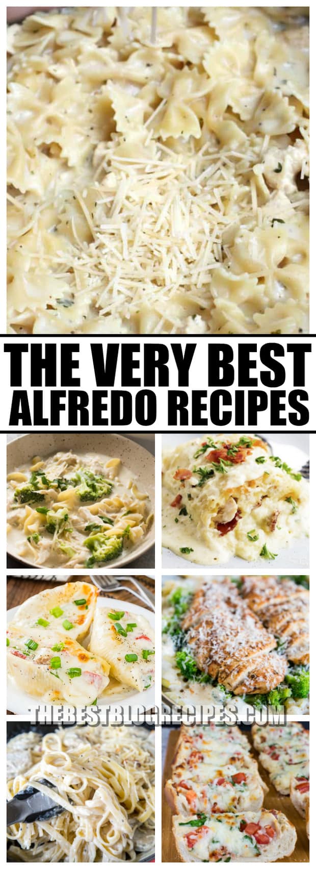 The Best Alfredo Recipes - The Best Blog Recipes
