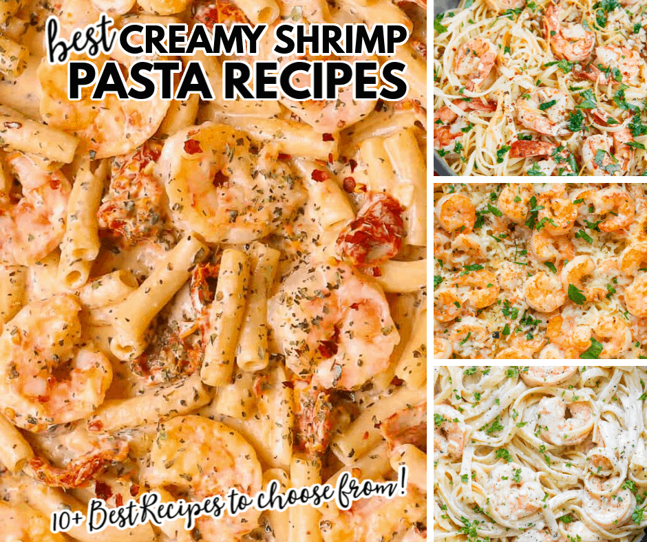 Creamy Shrimp Pasta Recipes | Round Up | The Best Blog Recipes