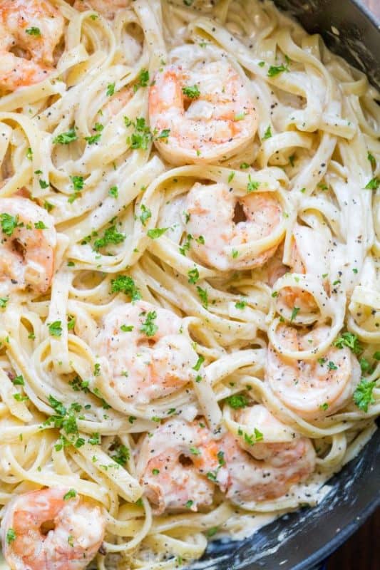 Creamy Shrimp Pasta Recipes | Round Up | The Best Blog Recipes