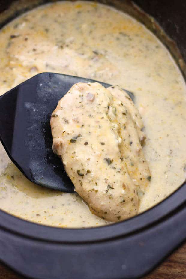 Slow Cooker Creamy Ranch Pork Chops The Best Blog Recipes 