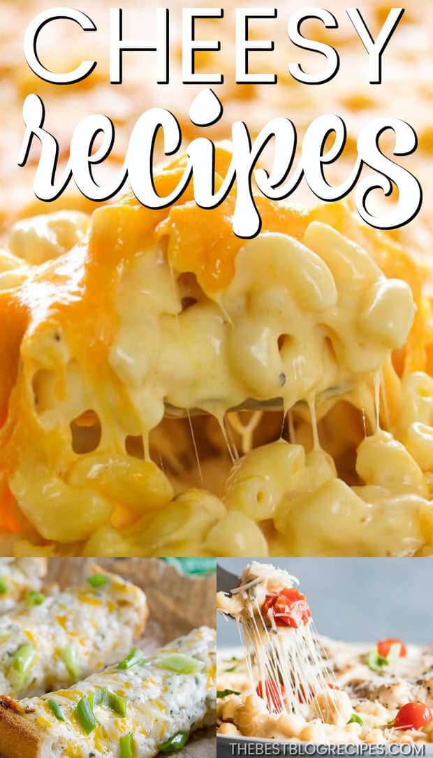 Quick And Easy Cheesy Recipes The Best Blog Recipes