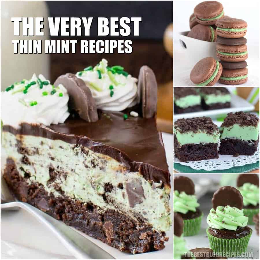 The only thing better than the girl scout cookie are these Thin Mint Dessert Recipes! Seriously, get ready to be addicted to these sweet minty treats.