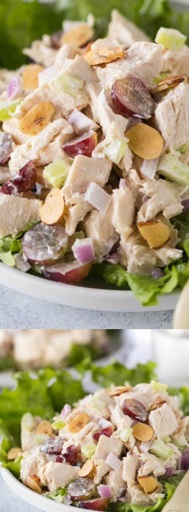Southern Chicken Salad - The Best Blog Recipes