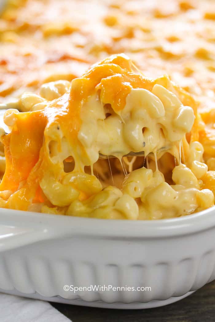 Macaroni and Cheese Casserole -- Part of The Best Macaroni and Cheese Recipes