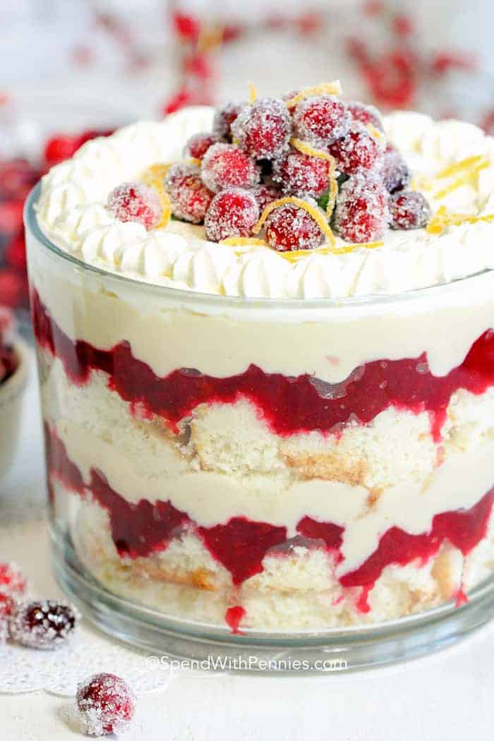 Cranberry Trifle | 20+ Easy Christmas Dessert Recipes | The Best Blog Recipes 