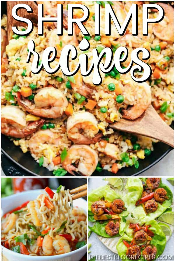 The Best Shrimp Recipes are exactly what is missing from your dinner rotation! These recipes are delicious and have that perfect seafood flavor that you will love.