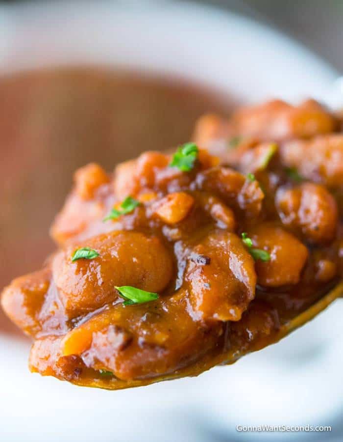 Our crockpot baked beans are thick, meaty and delicious! These beans are the perfect compliment to your dinner table, potluck, or BBQ all year round!