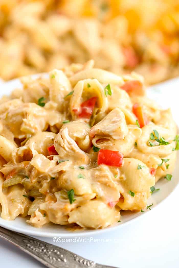 Easy Chicken Casserole Recipes - The Best Blog Recipes