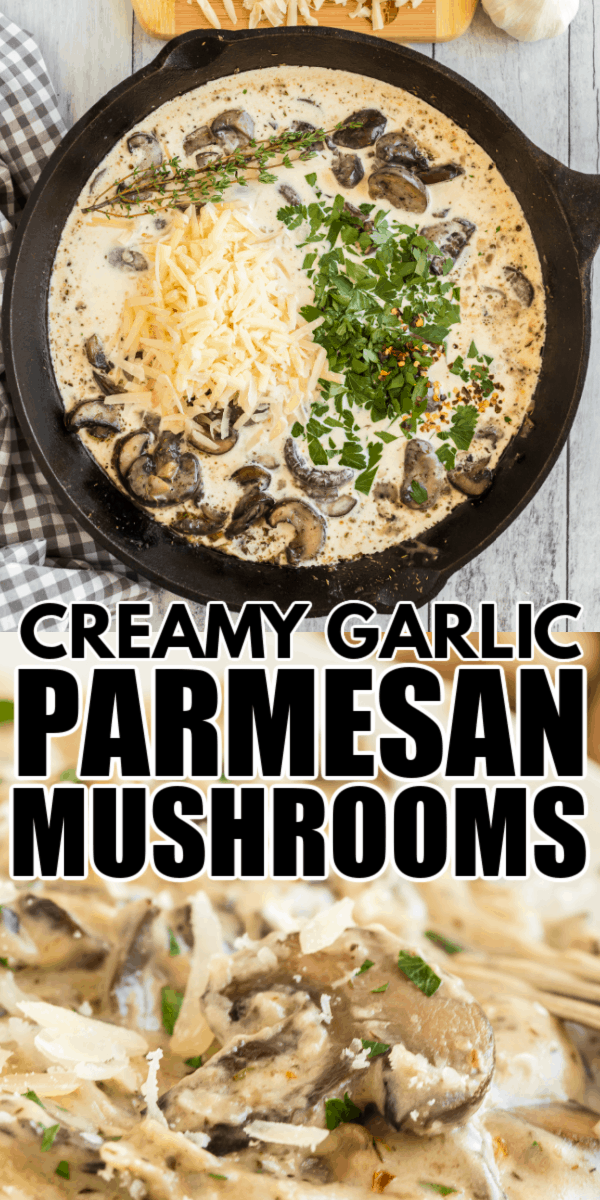 Creamy Garlic Parmesan Mushrooms The Best Blog Recipes