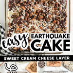 Earthquake Cake Recipe