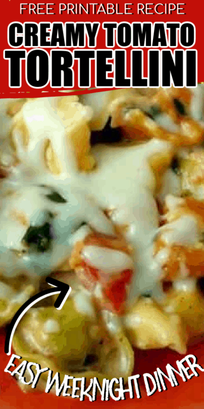 A close up of food, with Tortellini and Cheese