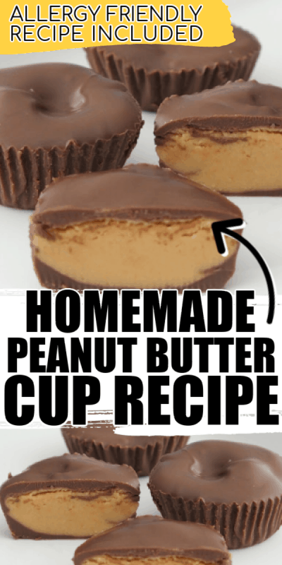A piece of chocolate cake on a plate, with Peanut Butter and homemade