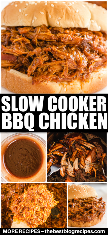 Different types of food, with Chicken and Slow Cooker