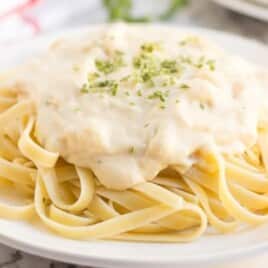 A plate of fettuccine topped with creamy Laughing Cow alfredo sauce and a sprinkle of freeze-dried chives.