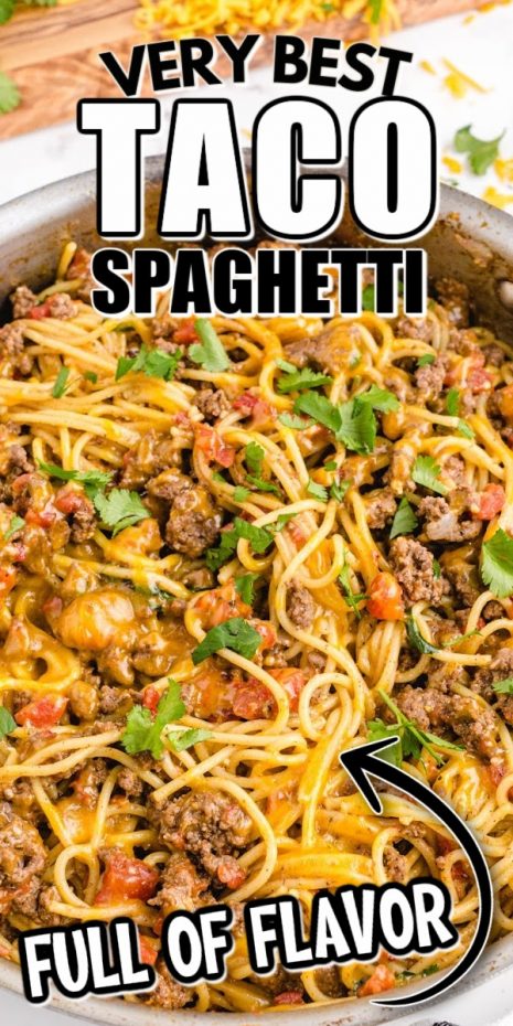 A dish is filled with food, with Taco and Spaghetti