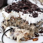 A piece of chocolate cake on a plate, with Oreo and Cookie