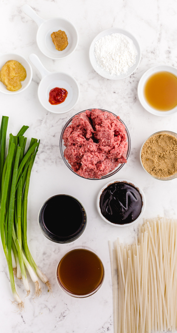 Mongolian Beef and Noodle ingredients
