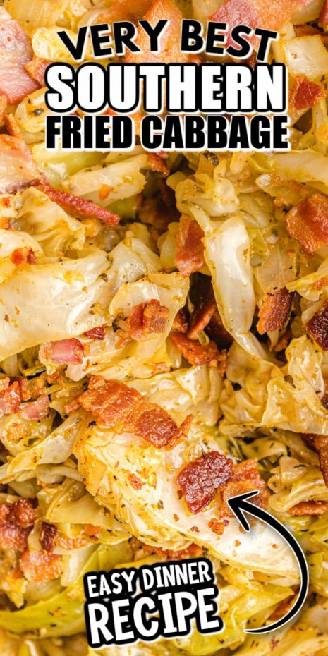 A close up of food, with Cabbage and Casserole