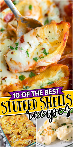 Stuffed Shells Recipes | Round Up | The Best Blog Recipes
