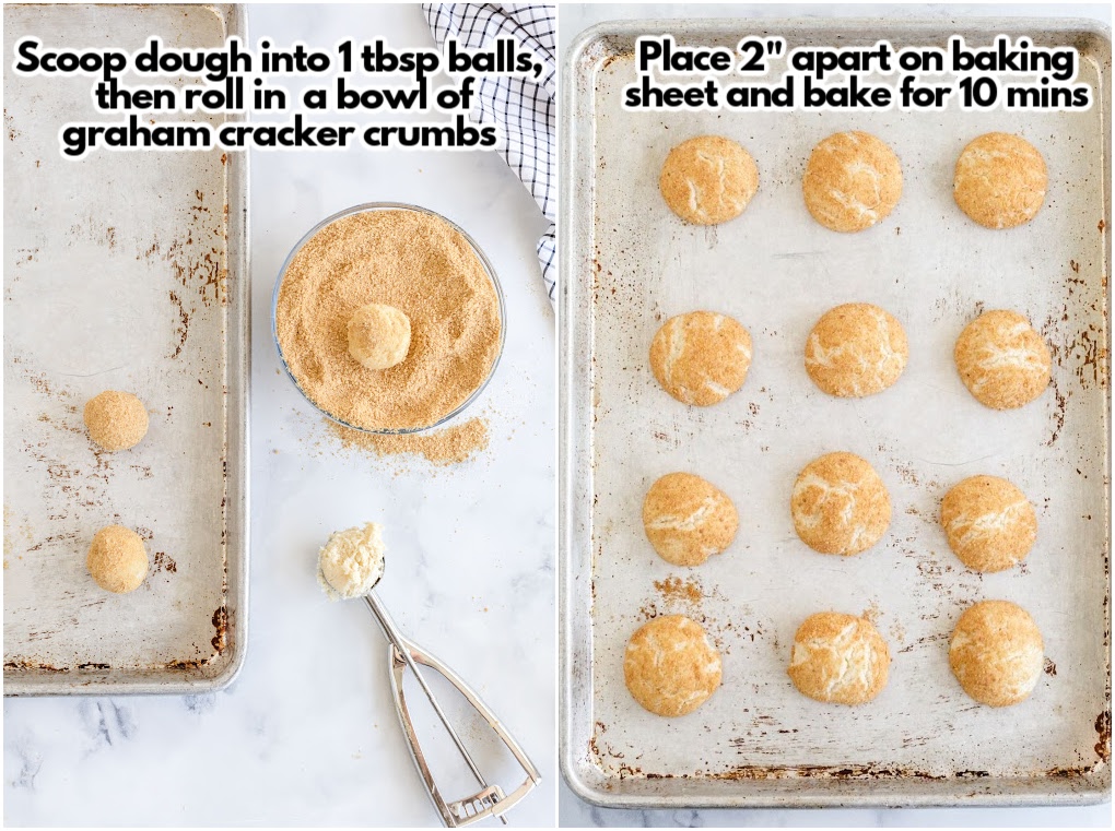 scoop dough in graham cracker crumbs