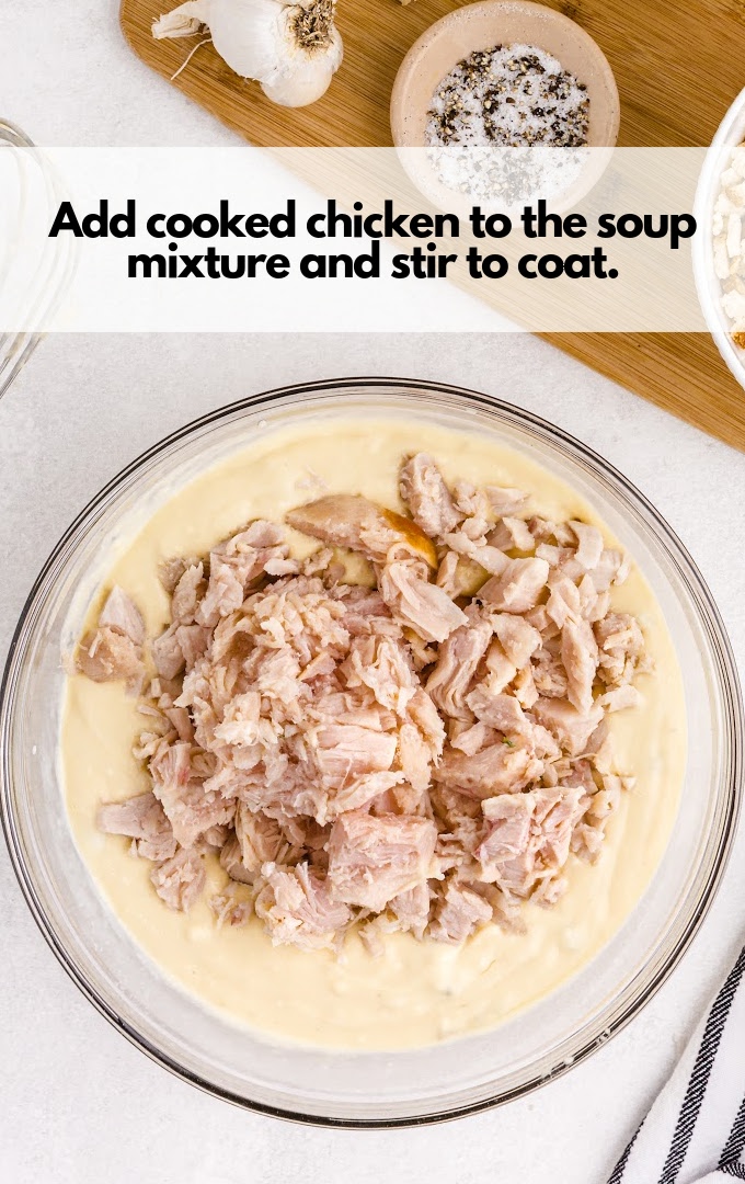 add cooked chicken to soup mixture