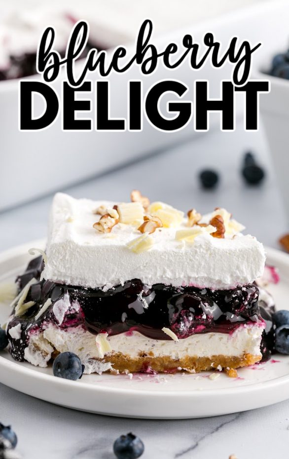 Blueberry Delight Dessert Recipe