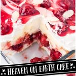 Heaven on Earth Cake