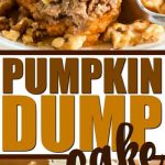 Pumpkin Dump Cake Recipe