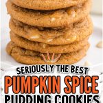 Pumpkin Spice Pudding Cookies