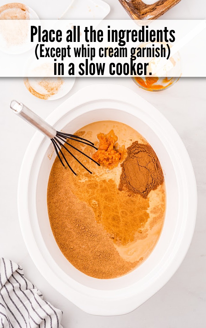 Slow Cooker Pumpkin Spice Latte all ingredients in slow cooker