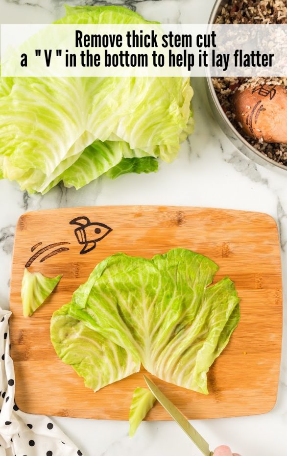 Food on the cutting board, with Cabbage and Tomato