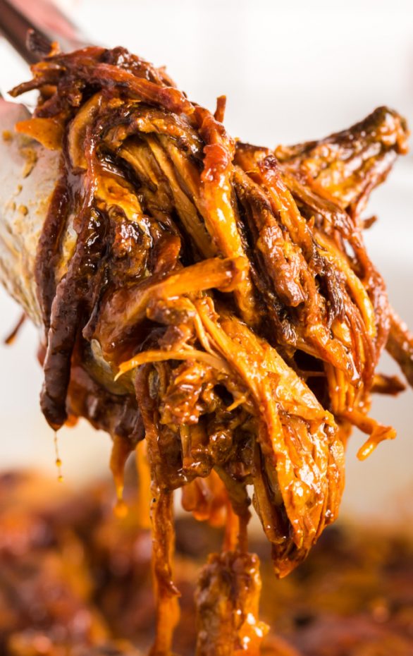 A close up of food, with Pulled pork