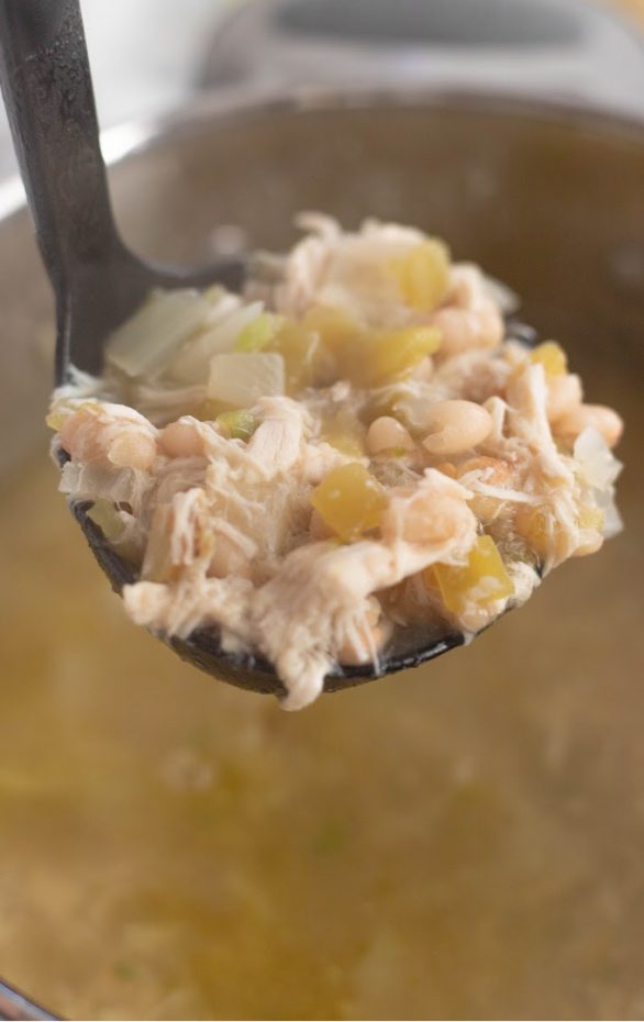 A close up of a bowl of food, with Bean and Chicken