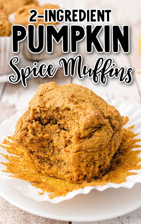 A piece of cake on a plate, with Muffin and Spice