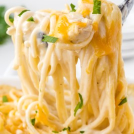 A close up of pasta with sauce and cheese