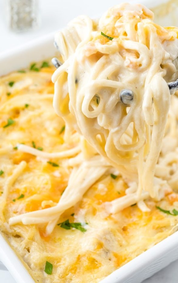 A close up of a plate of pasta with sauce and cheese, with Tetrazzini and Noodle