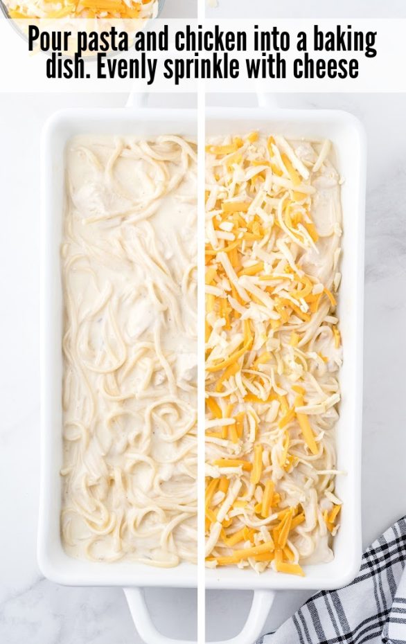 A bowl of pasta and cheese on a tray, with Chicken and Tetrazzini