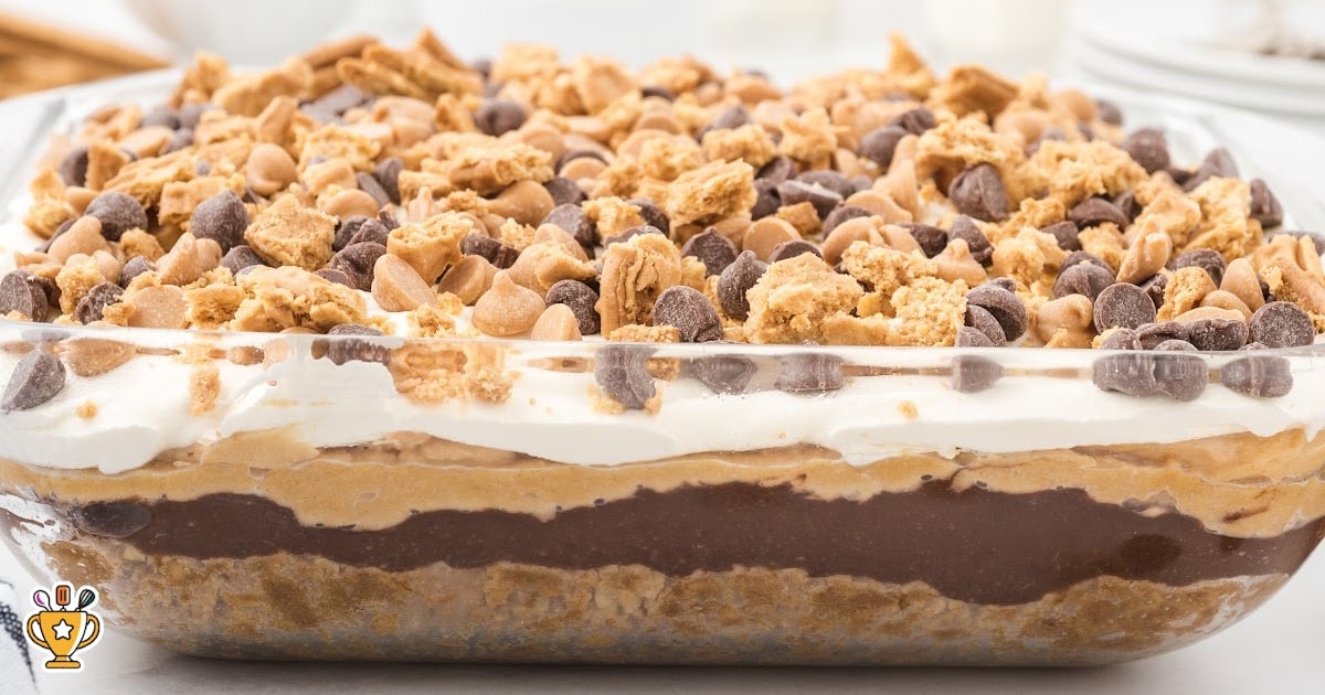 Side view of a full pan of peanut butter dream bars highlighting the creamy chocolate and peanut butter layers under a whipped topping with chocolate chips and cookie bits. A rich, layered peanut butter dessert lasagna.