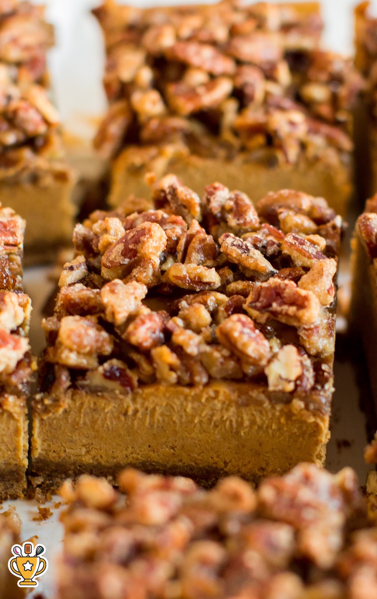 Close-up of creamy pumpkin cheesecake bars topped with caramelized pecans and a gingersnap crust, showing rich layers of pumpkin filling and crunchy pecan topping.