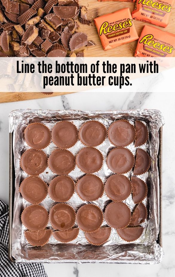 Fudge and Peanut Butter