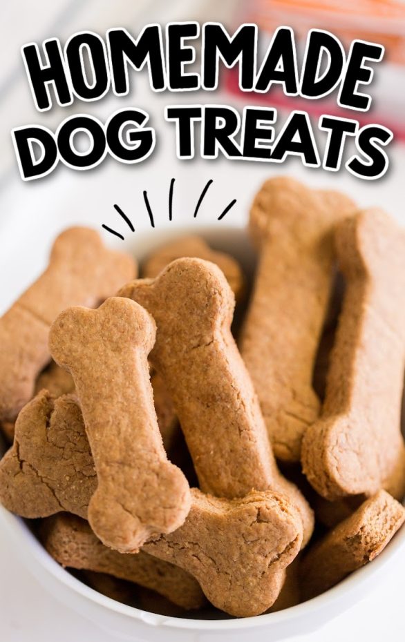 Food on a plate, with Homemade dog treat