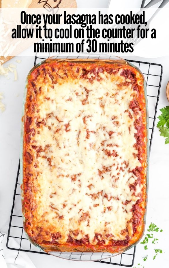 A slice of pizza on a plate, with Lasagna and Cheese