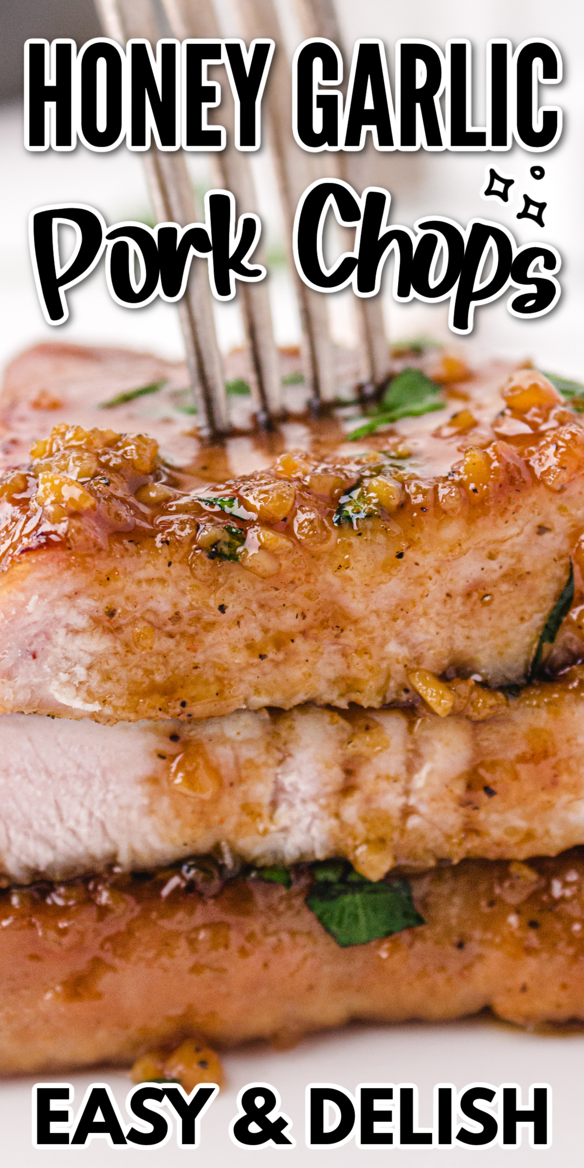 Honey Garlic Pork Chops | Dinner | The Best Blog Recipes