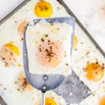 A plate of food, with Blog and Egg
