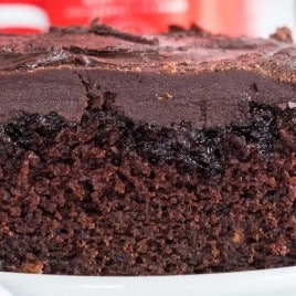 A close up of a piece of chocolate cake on a plate